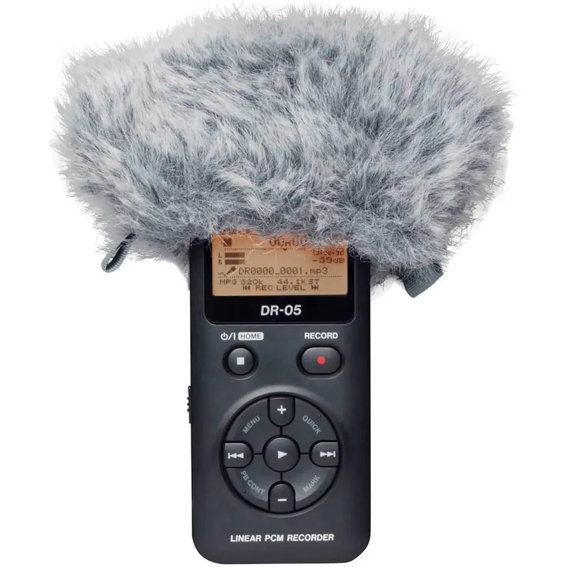 Tascam WS11 Windscreen For DR Series