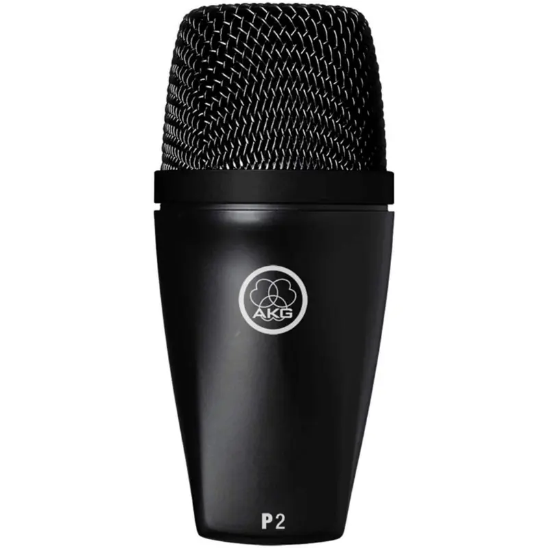 AKG P2 High-Performance Dynamic Bass Microphone