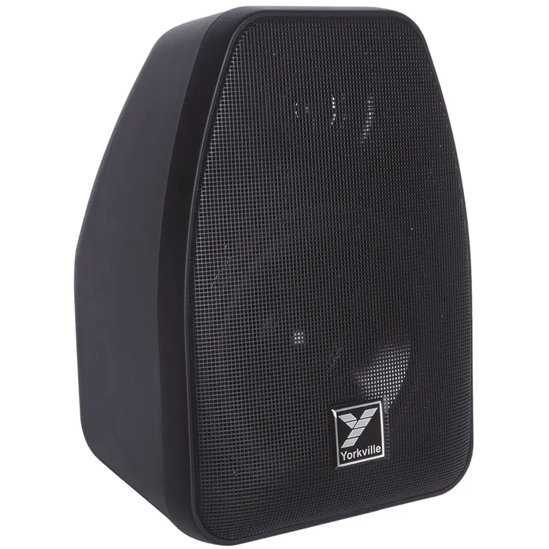 Yorkville C110 40W Install Speaker