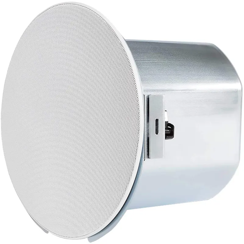 Denon Pro DN-108LF 8-Inch Ceiling Subwoofer