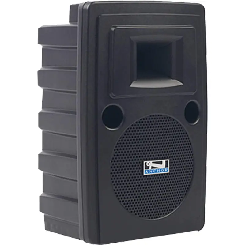 Anchor Liberty AC Powered Speaker with Bluetooth