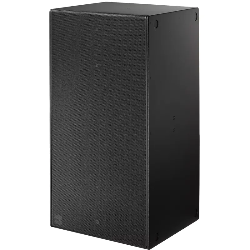d&b audiotechnik 21S-Sub Subwoofer