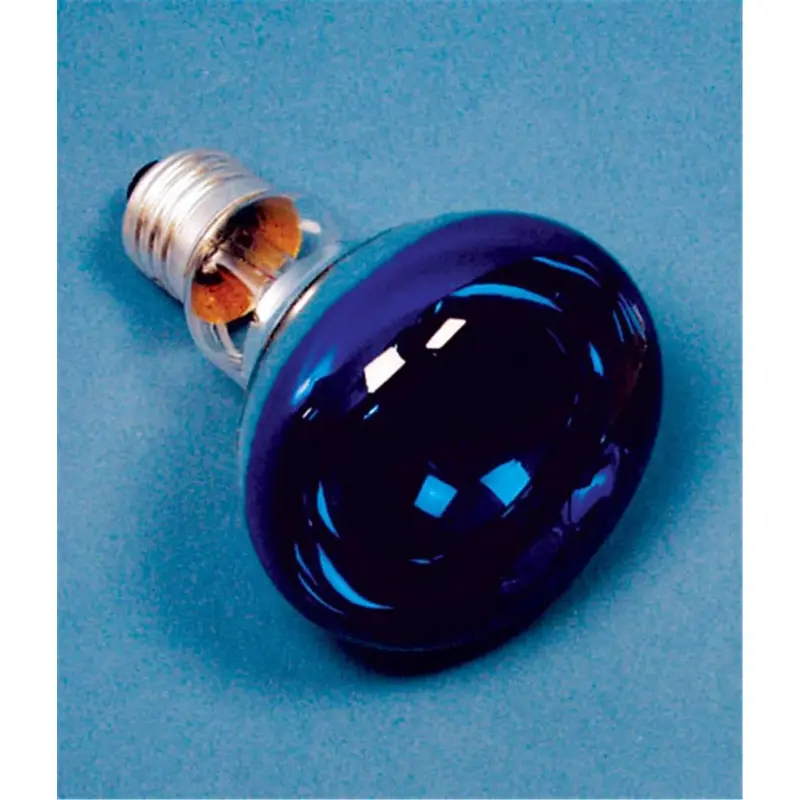 Import PAR30 60W 120V E27 Screw Base Lamp Blue