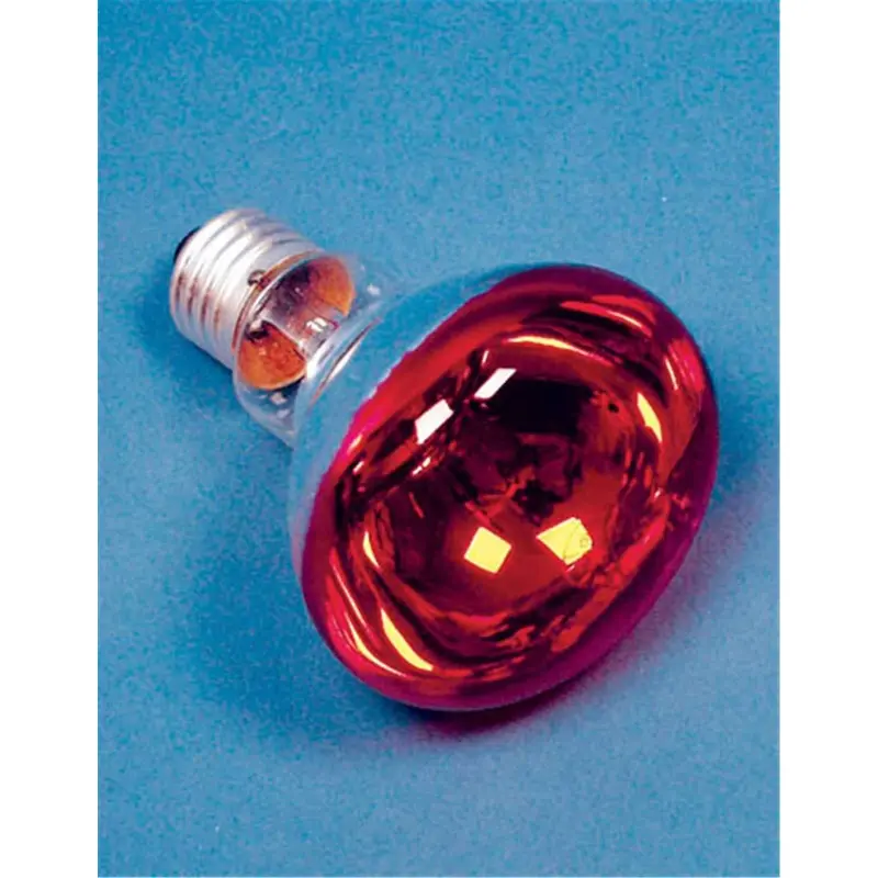 Import PAR30 60W 120V E27 Screw Base Lamp Red