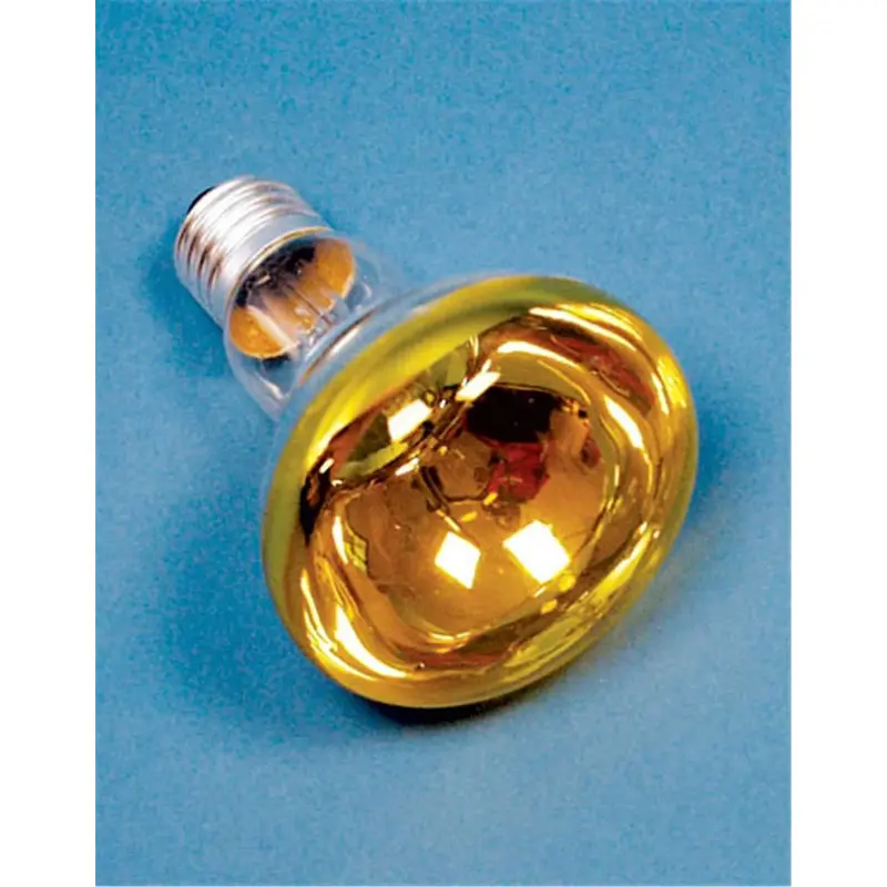 Import PAR30 60W 120V E27 Screw Base Lamp Yellow