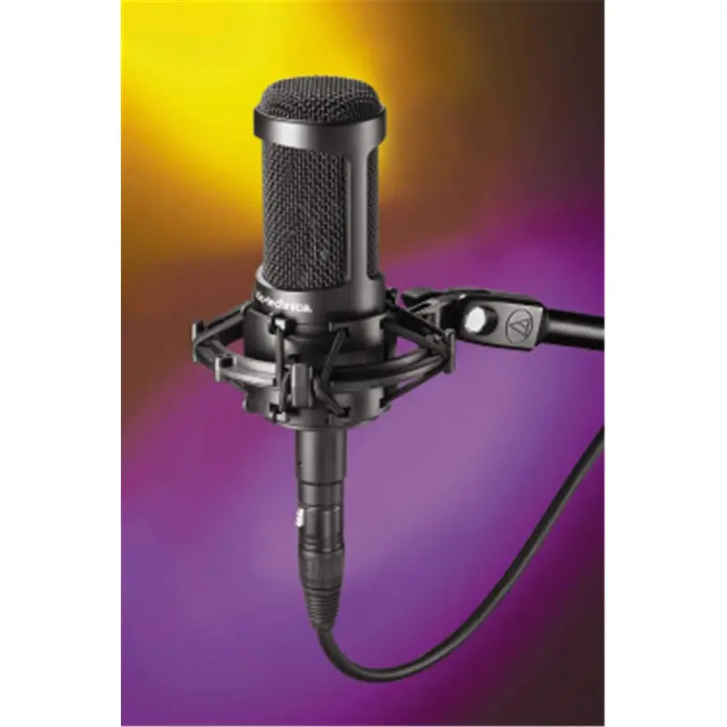 Audio Technica AT-2050 Multi-Pattern Condender Mic