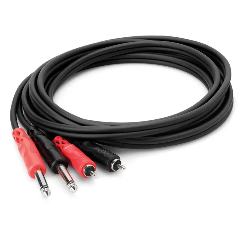 9.9 Ft Dual RCA (M) to 1/4 Mono (M)