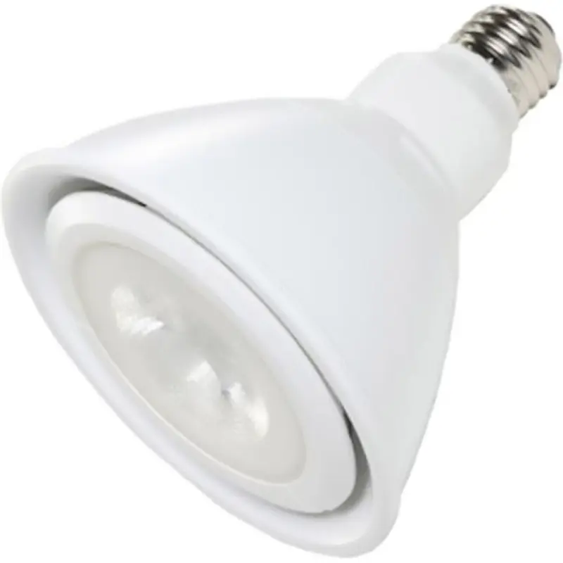 Ushio 1004086 17-Watt/120-Volt PAR38 LED Flood Lamp