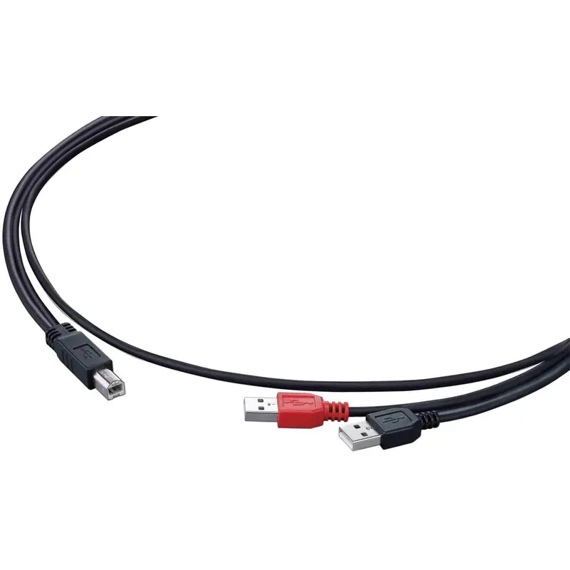 Pioneer DJ iPad Cable for WeGO and ERGO DJ Controllers
