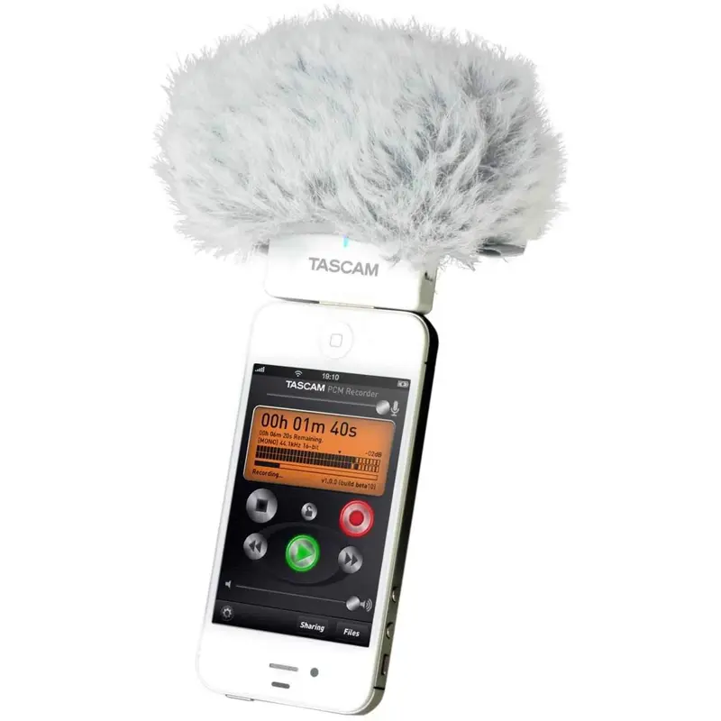 Tascam WS21 Windscreen For IM2