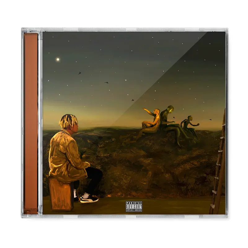 From a Birds Eye View CD