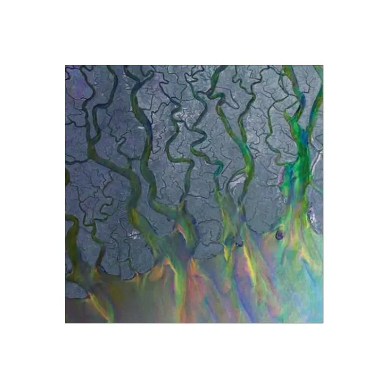 An Awesome Wave Vinyl LP