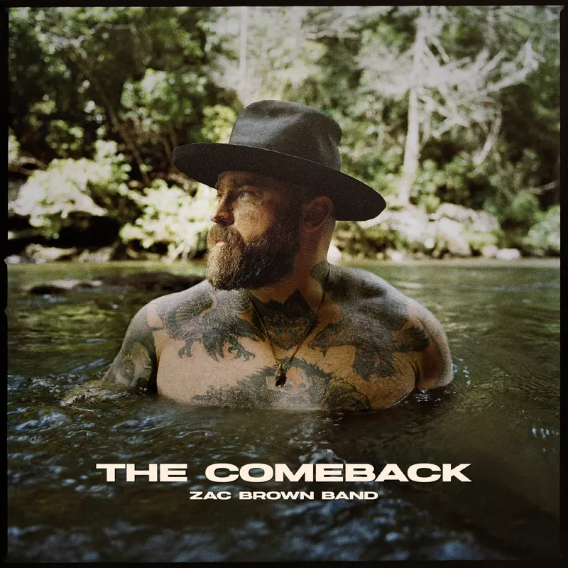 The Comeback Vinyl