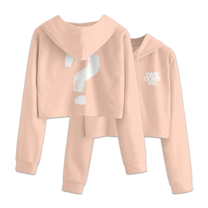 2020 Logo Crop Hoodie