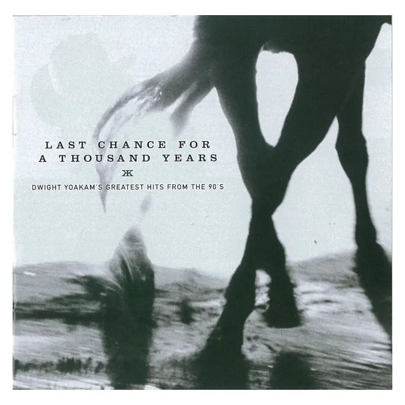 Last Chance For A Thousand Years CD