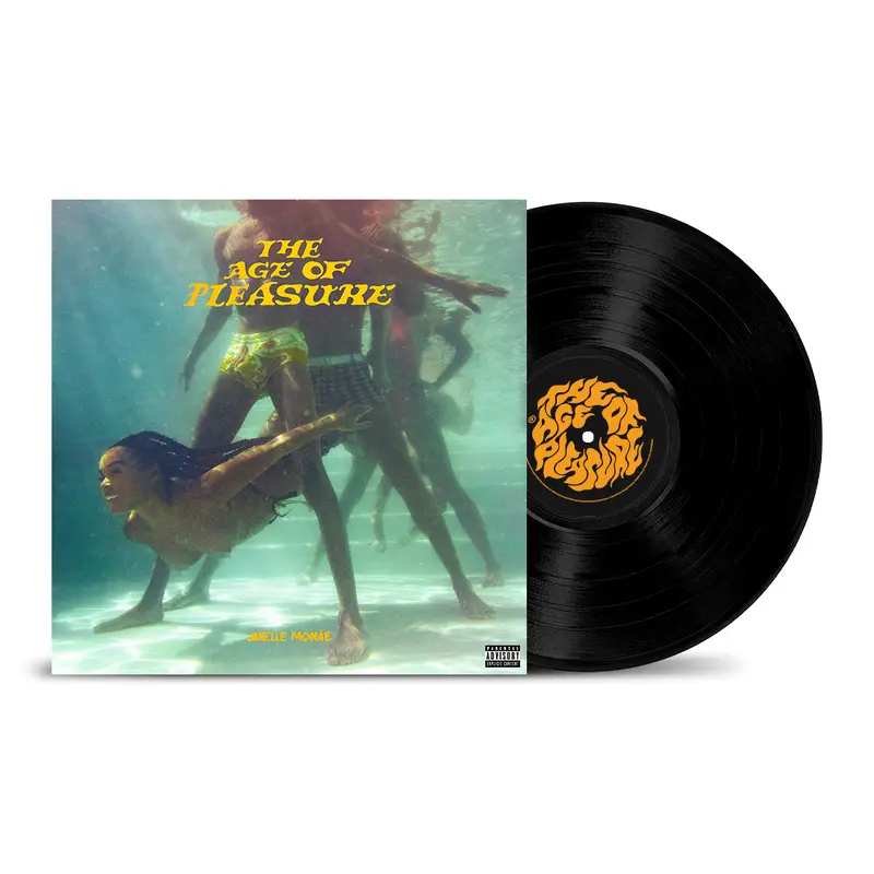 The Age of Pleasure Vinyl (alternate cover)