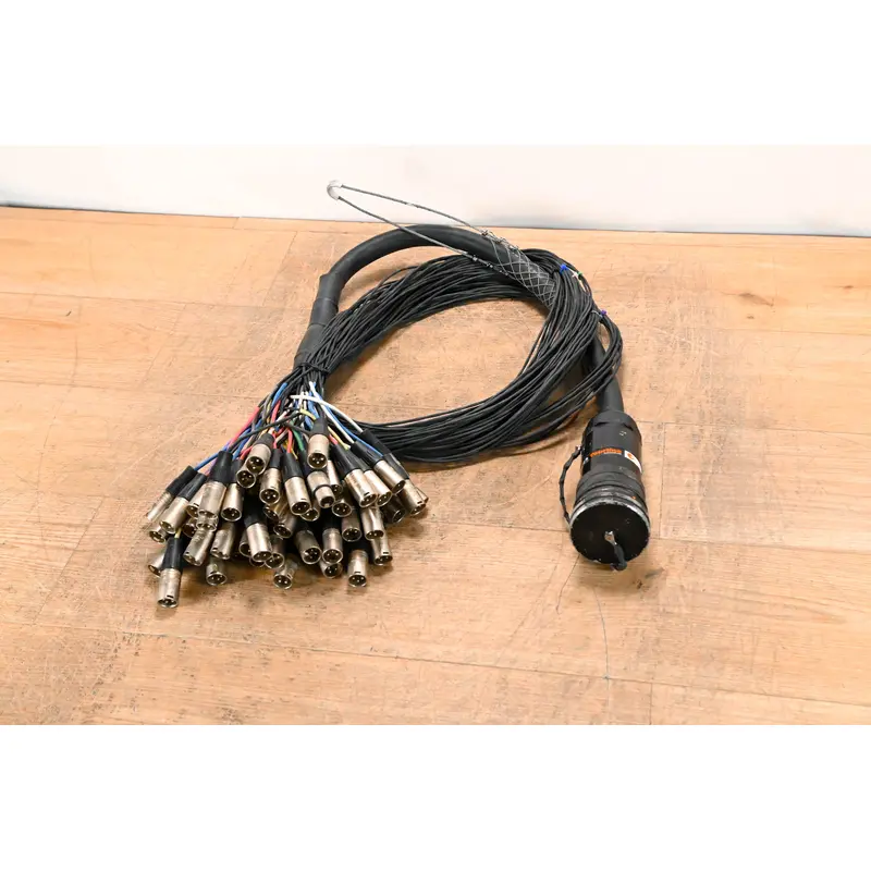 Ten 47 Multipin to 48-Channel XLR Male 10-XLR Returns Fan Snake - 10'