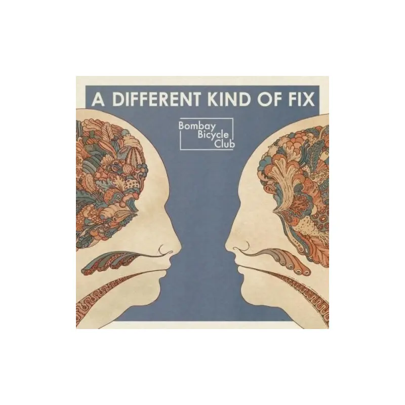 Different Kind of Fix - Vinyl LP