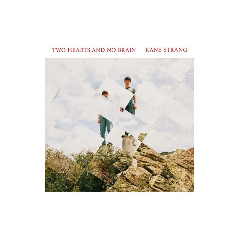 Two Hearts And No Brain - Vinyl LP