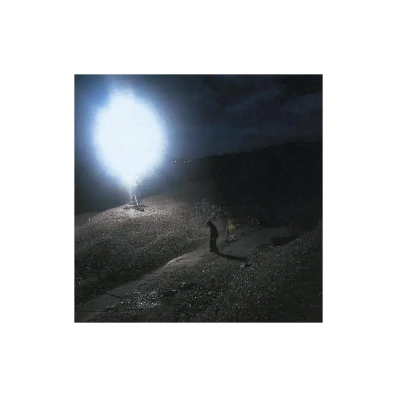 Better Luck In The Next Life - Vinyl LP