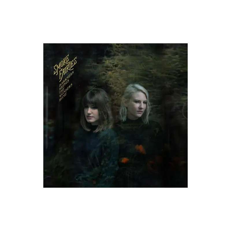 Darkness Brings The Wonders Home - Vinyl LP