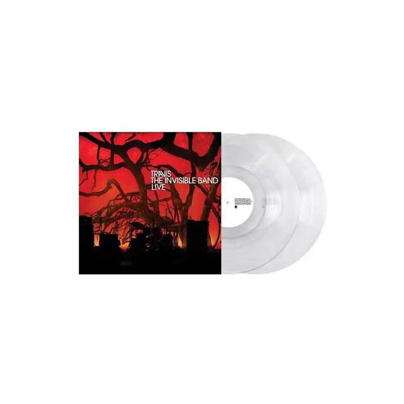 The Invisible Band: Live - Vinyl LP