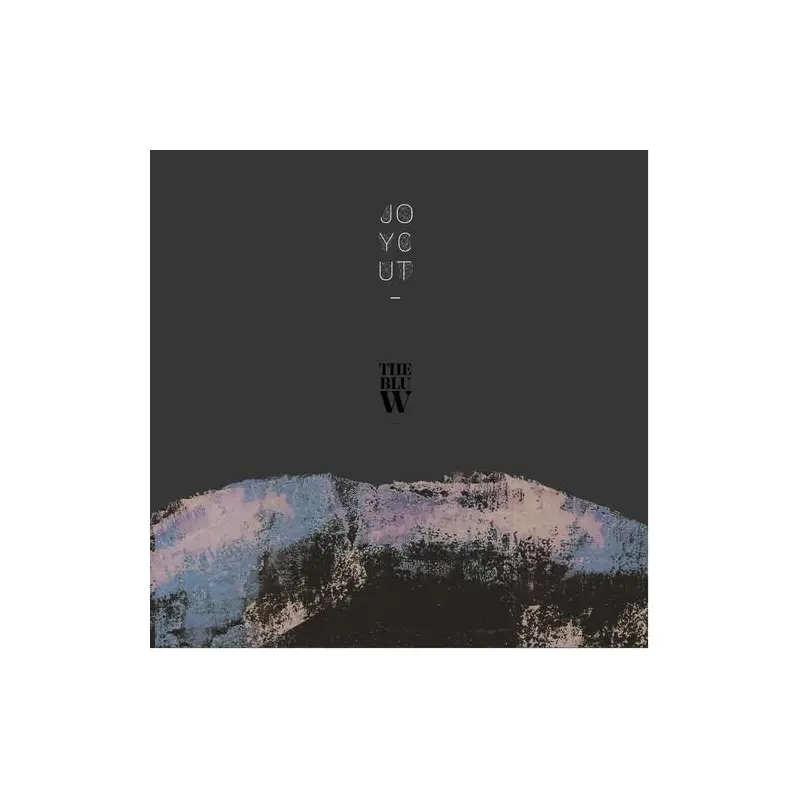 TheBluWave - Vinyl LP