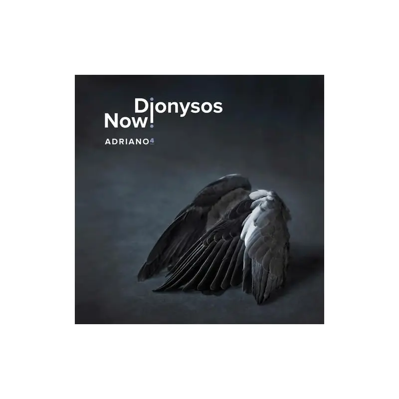 Willaert: Adriano 4 - Vinyl LP