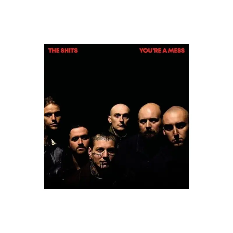 You're A Mess - Vinyl LP