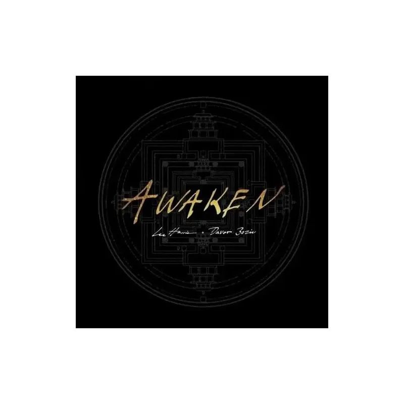 Awaken - Gold - Vinyl LP (Gold)