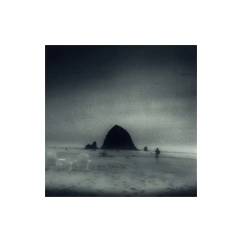 Wane Into It - Vinyl LP