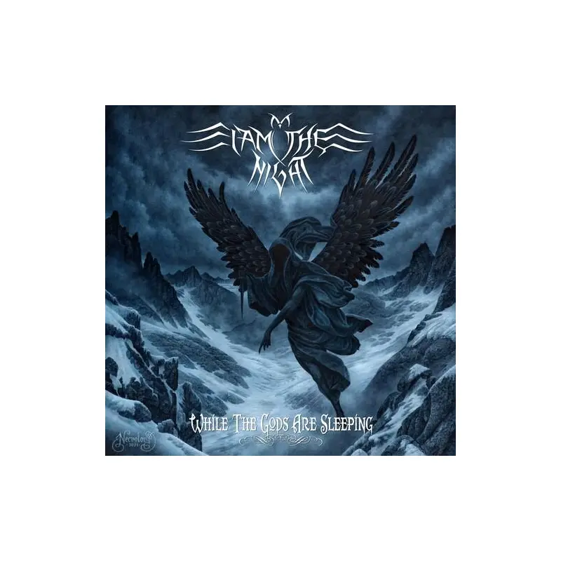 While The Gods Are Asleep - Vinyl LP