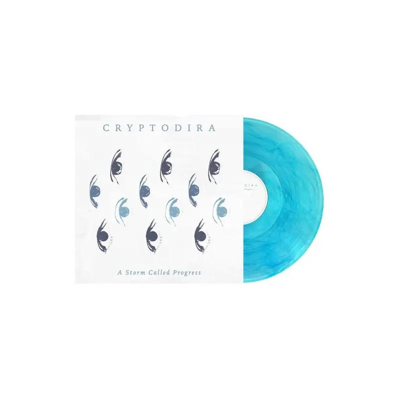 A Storm Called Progress - Vinyl LP