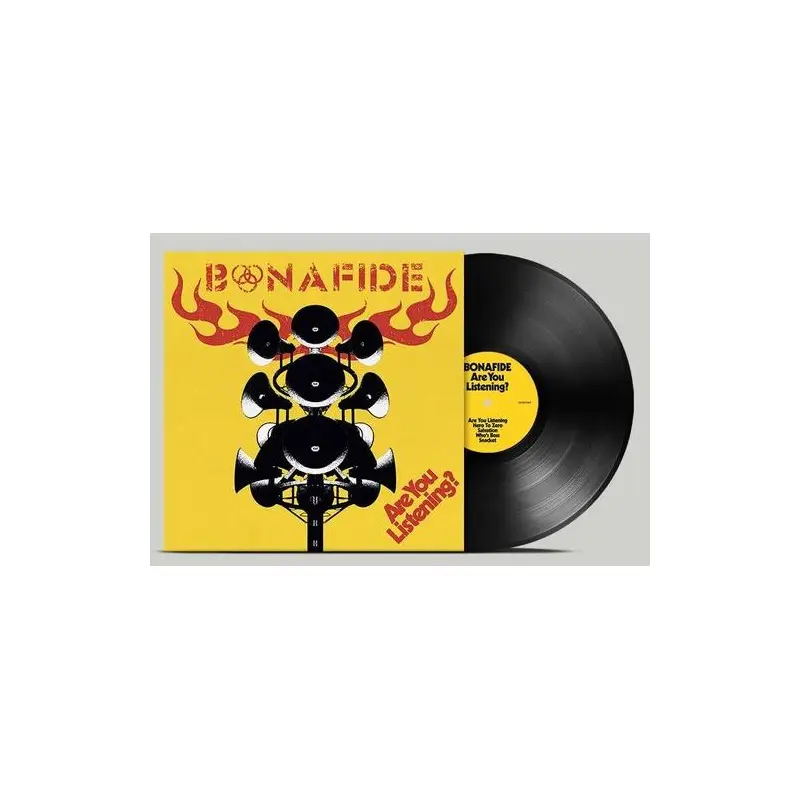 Are You Listening? - Vinyl LP