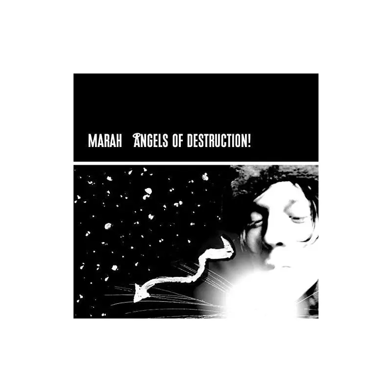 Angels Of Destruction - Vinyl LP