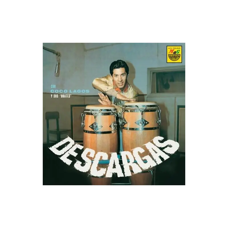 Descargas - Vinyl LP