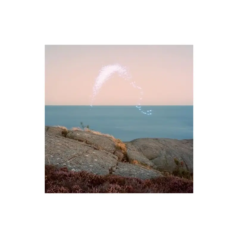 An Overview on Phenomenal Nature - Vinyl LP