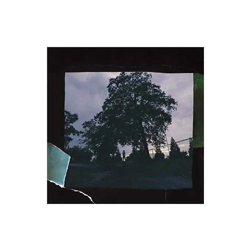 4 Your Eyez Only - Vinyl LP