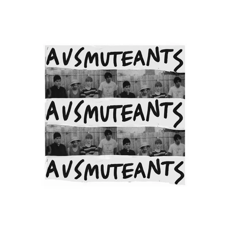 Amusements - Vinyl LP