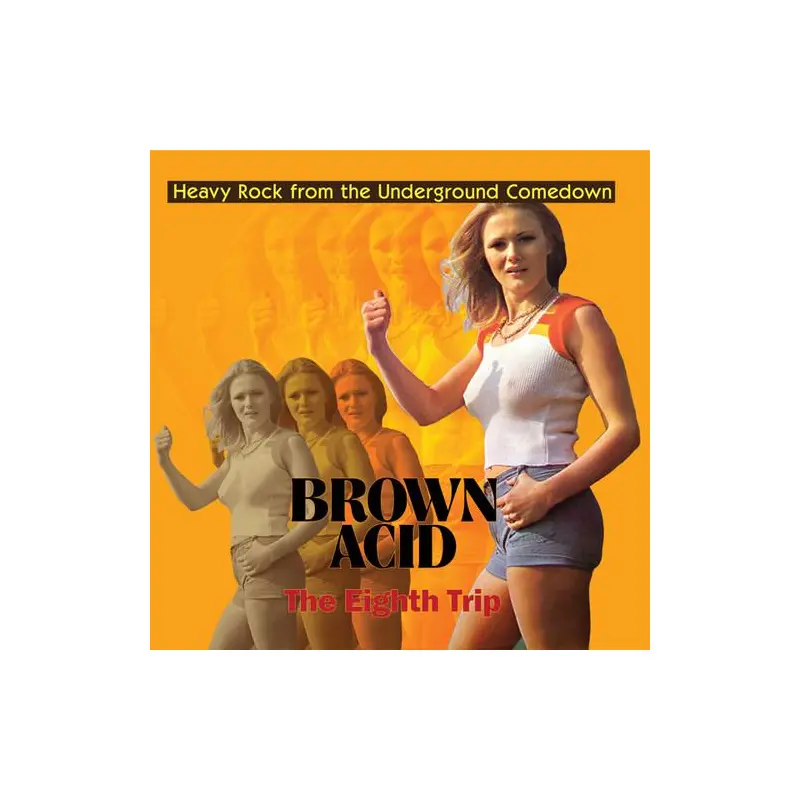 Brown Acid - The Eighth Trip (Various Artists) - Vinyl LP