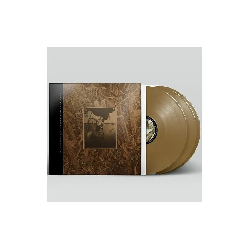 Come On Pilgrim It's Surfer Rosa - Vinyl LP