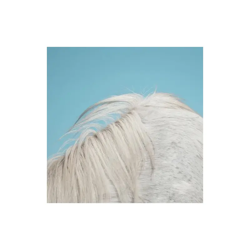 All Yours - Vinyl LP