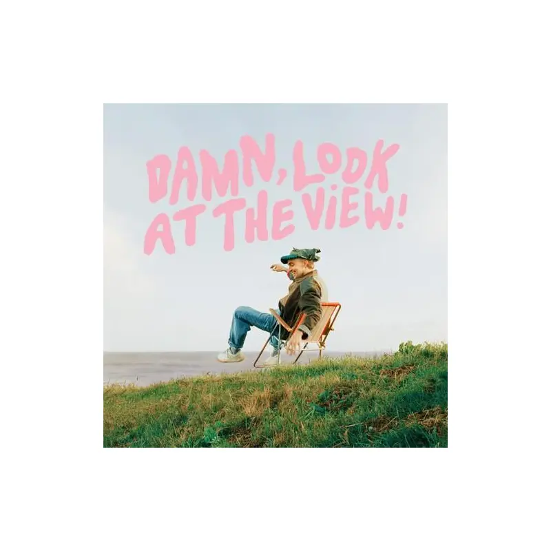 Damn, Look at the View ! - Vinyl LP