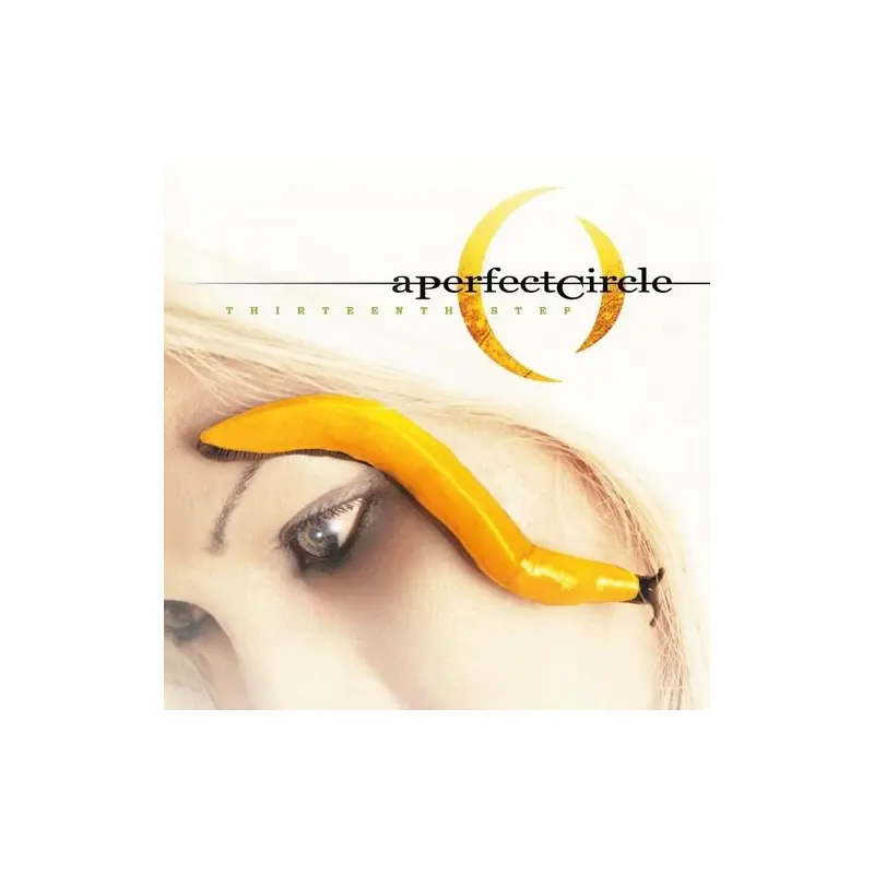 Thirteenth Step - Vinyl LP