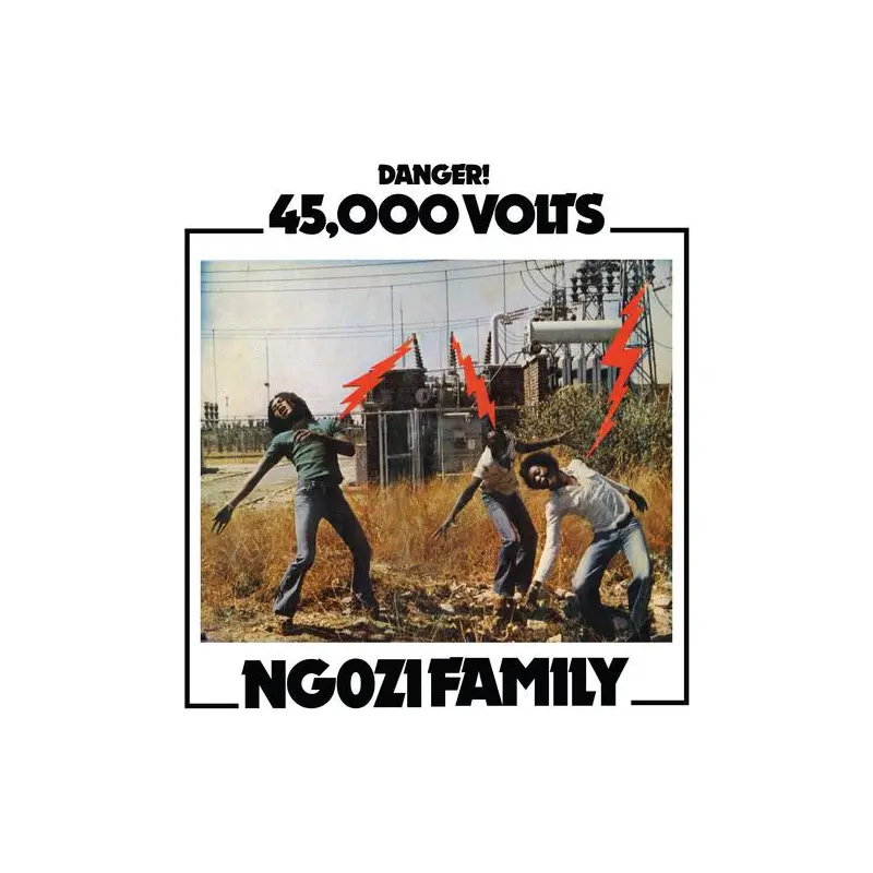 45,000 Volts - Vinyl LP