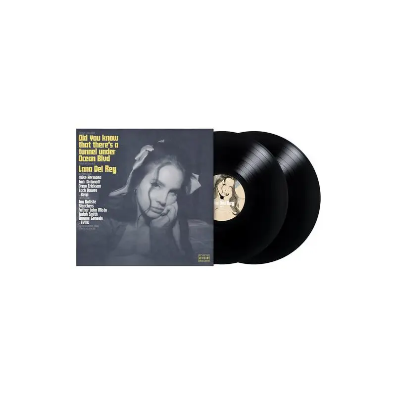 Did You Know That There's A Tunnel Under Ocean Blvd - 2LP - Vinyl LP 180 Gram