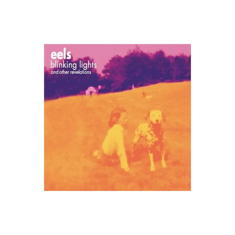 Blinking Lights And Other Revelations - Vinyl LP