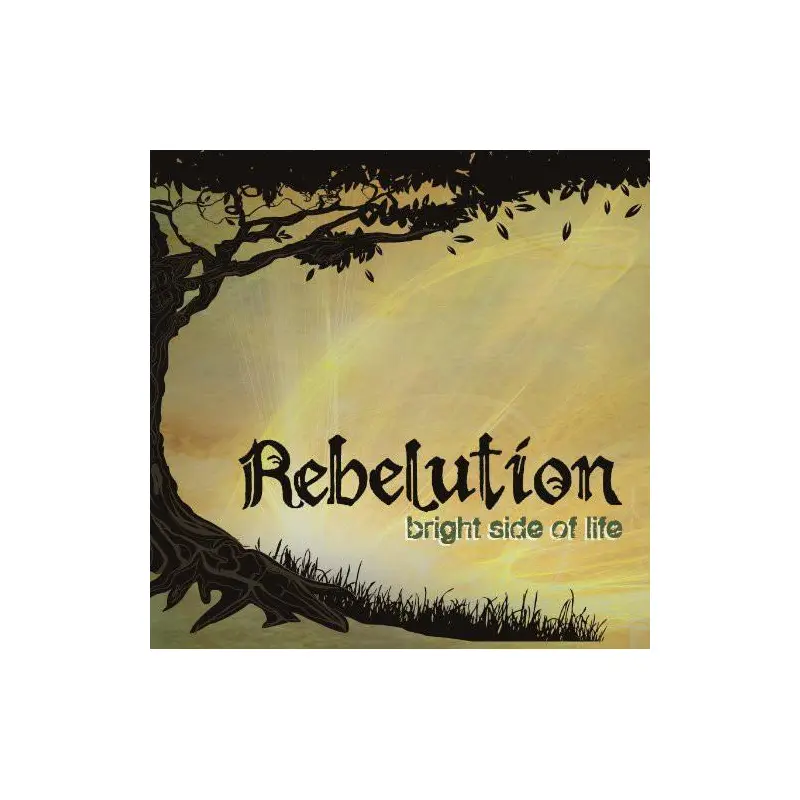 Bright Side of Life - Vinyl LP