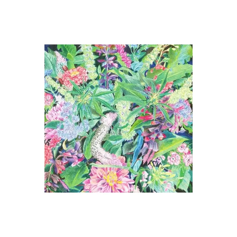 The Rising Wave - Vinyl LP