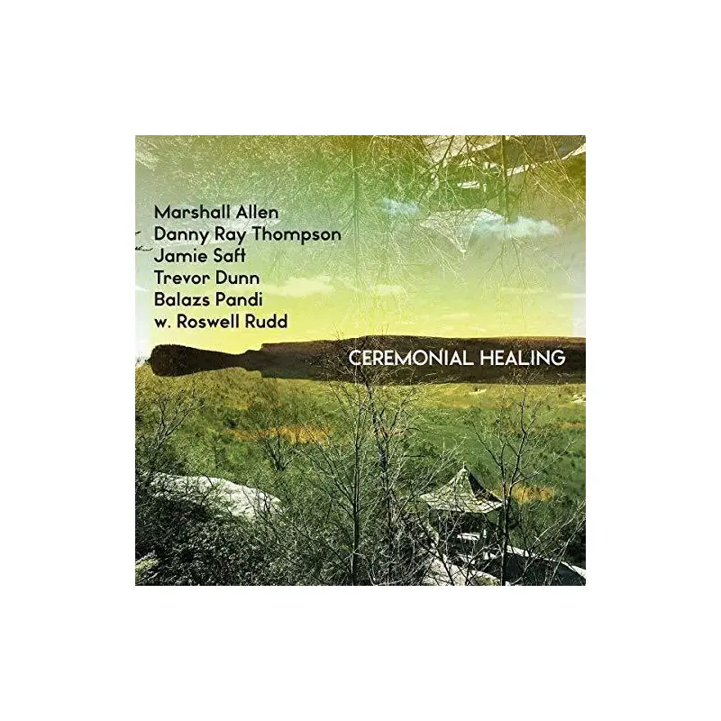 Ceremonial Healing - Vinyl LP